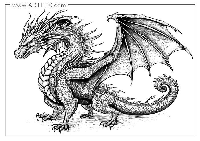 Anime dragons free coloring pages