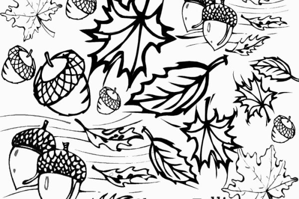 Fall leaves coloring book