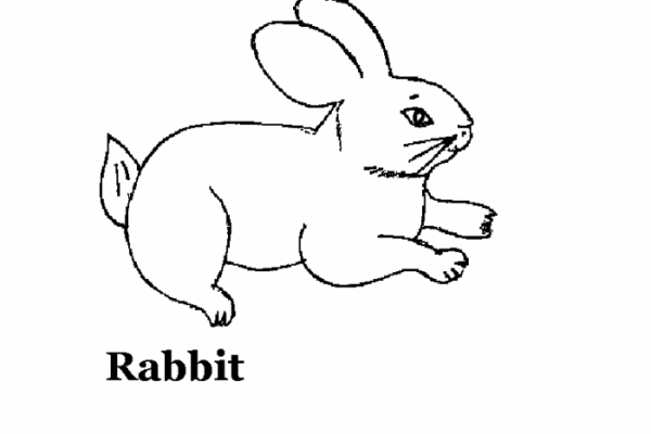 Coloring pages domestic animals