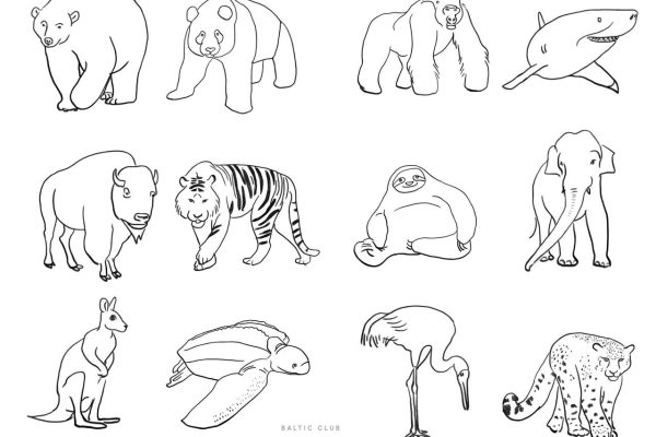 Endangered animals coloring book