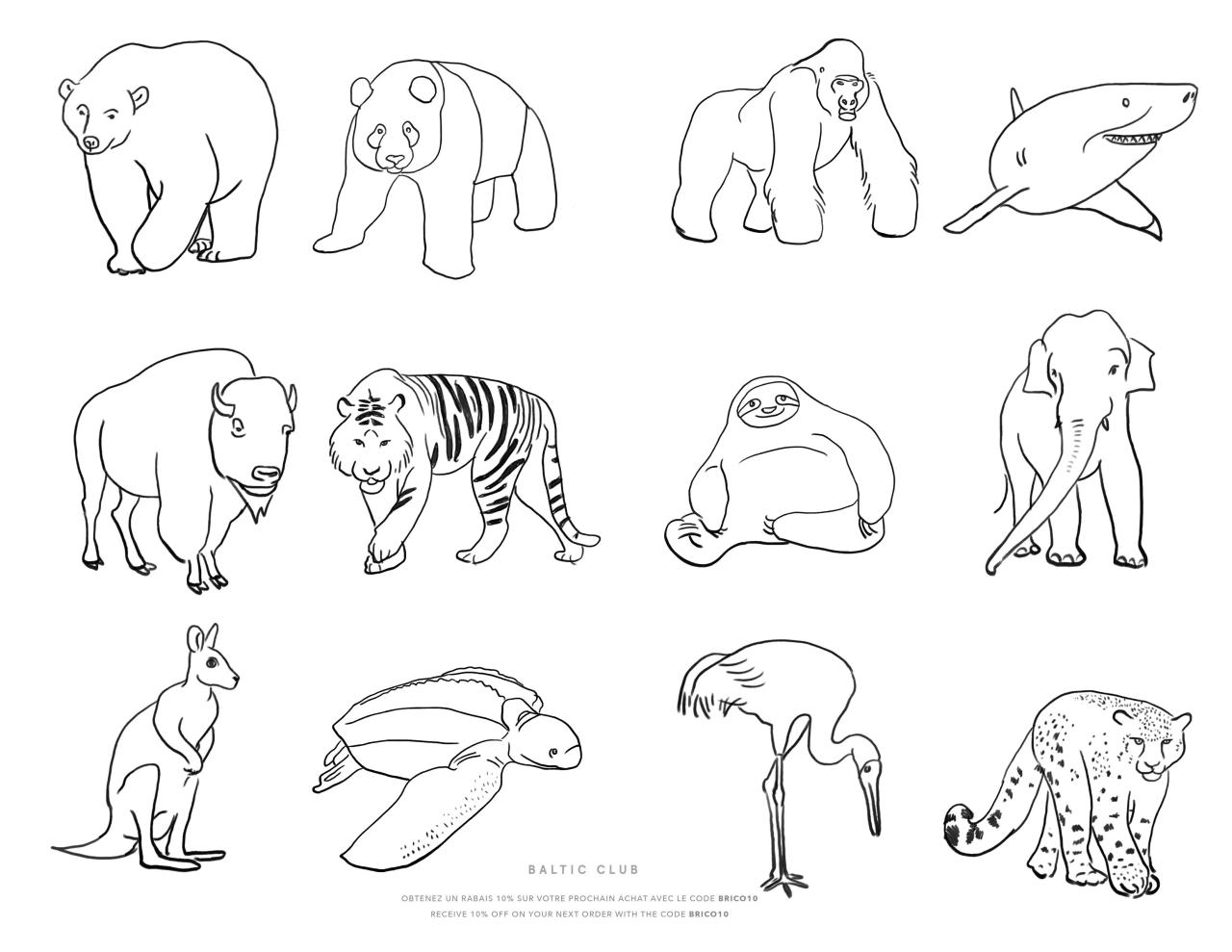 Endangered animals coloring book