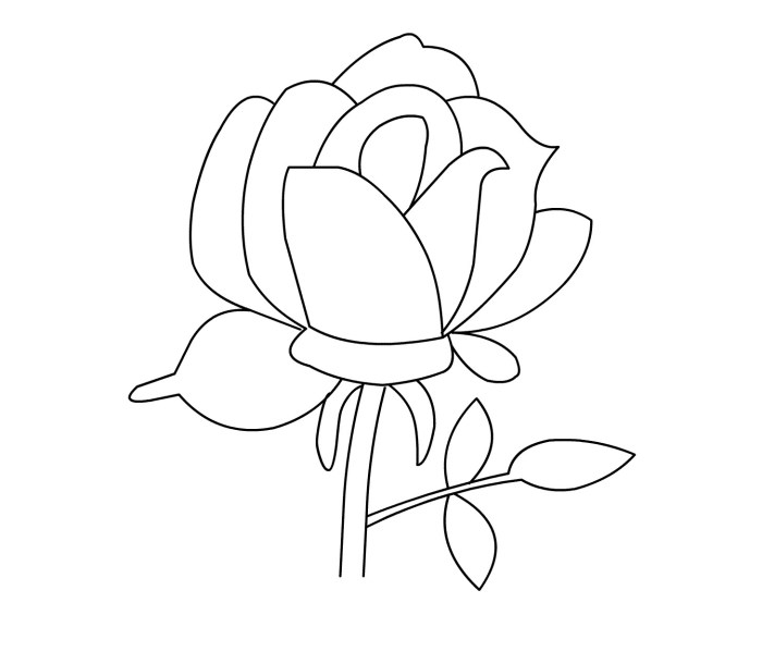 Rose coloring book page