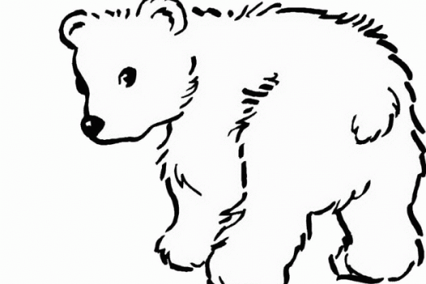 Teddy bear coloring pages printable kids