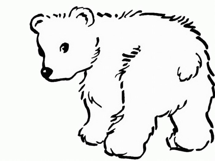 Teddy bear coloring pages printable kids