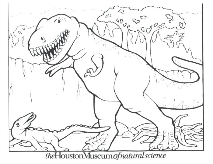 Coloring book pages dinosaurs