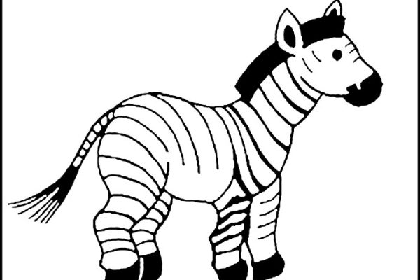 Zebra coloring book page