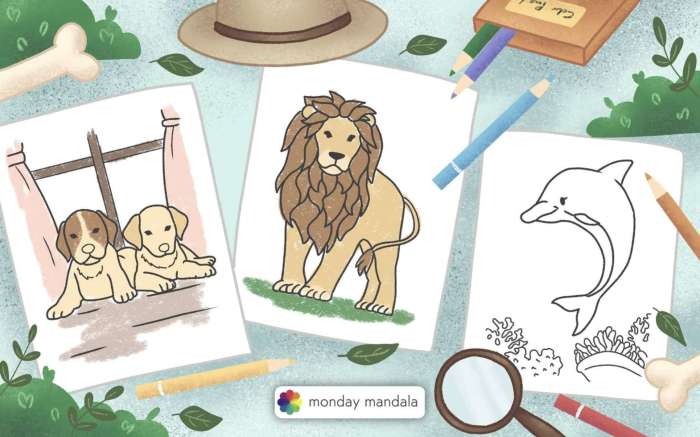 Animal coloring pictures for kids