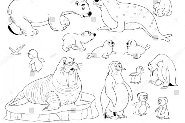 Arctic animals coloring page