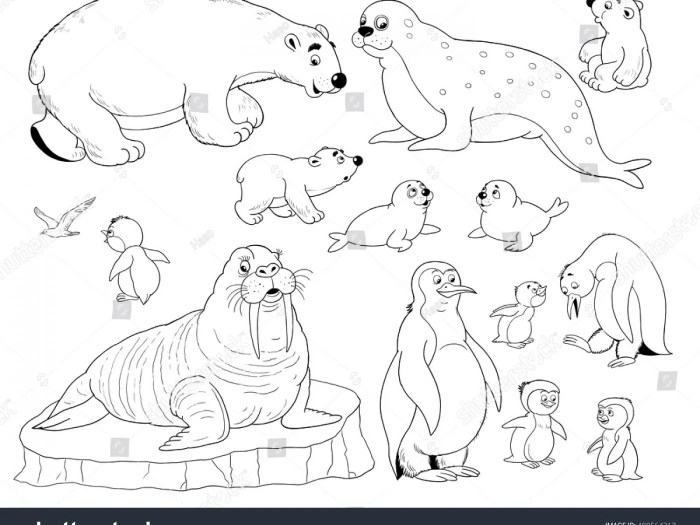 Arctic animals coloring page