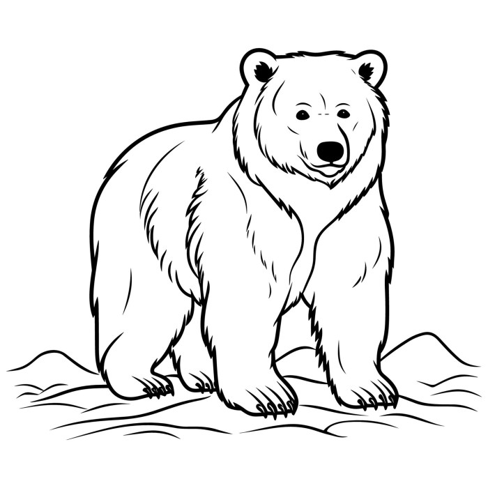 Coloring book pages of bears