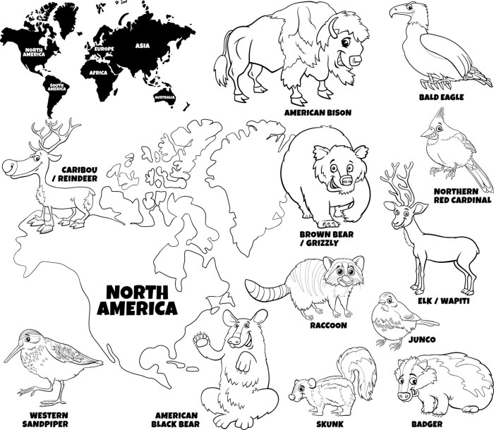 North american animals coloring pages