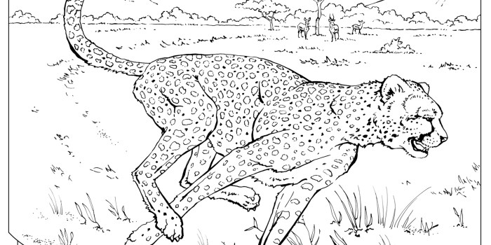 Coloring pages for wild animals