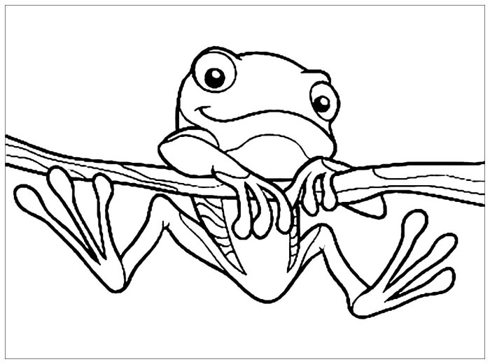 Animal baby frog coloring page