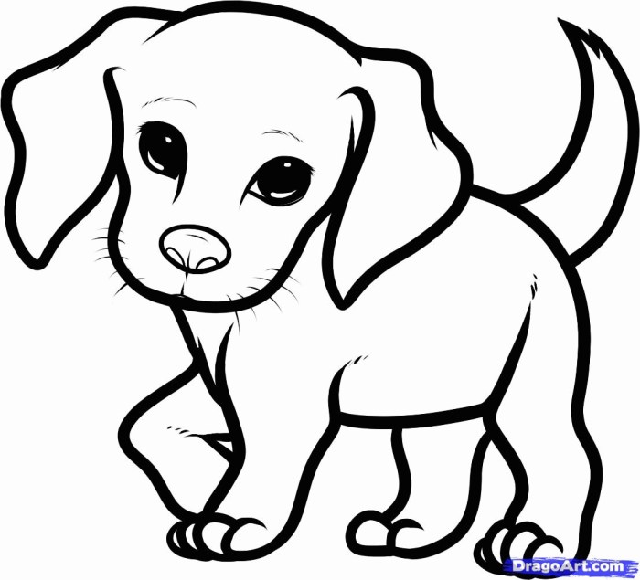 Dragoart coloring pages cute animals