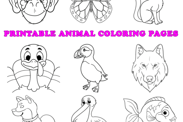 Easy animals and coloring pages