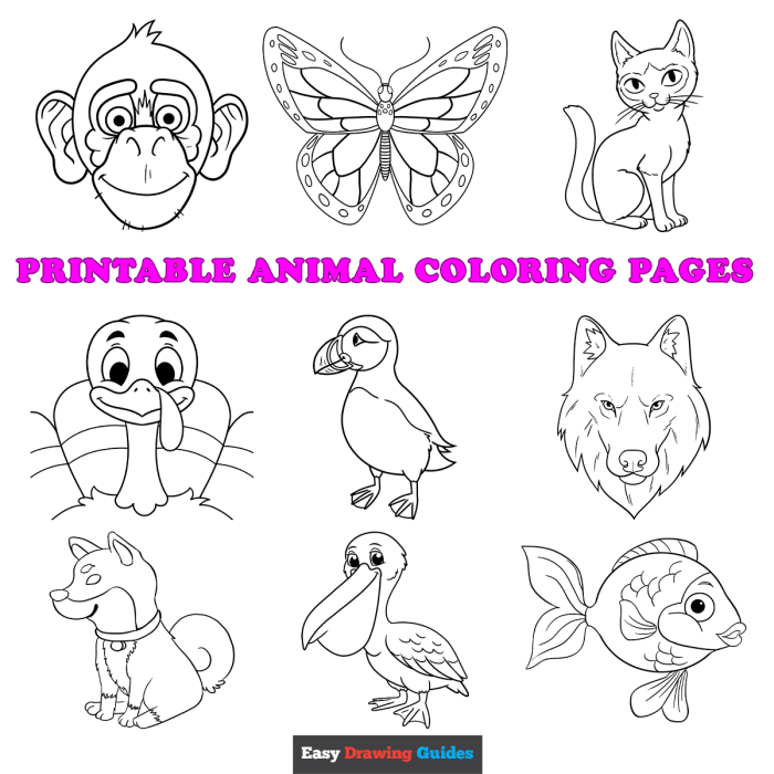 Easy animals and coloring pages