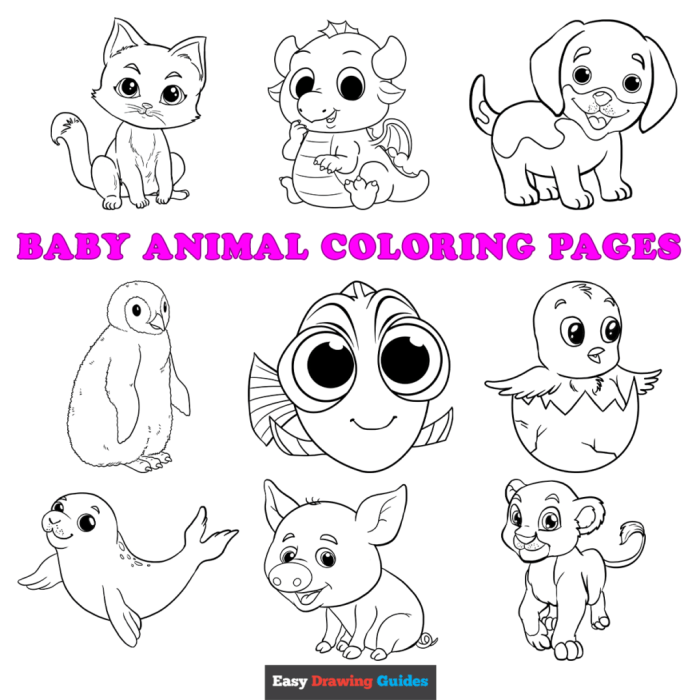 500 baby animal coloring pages