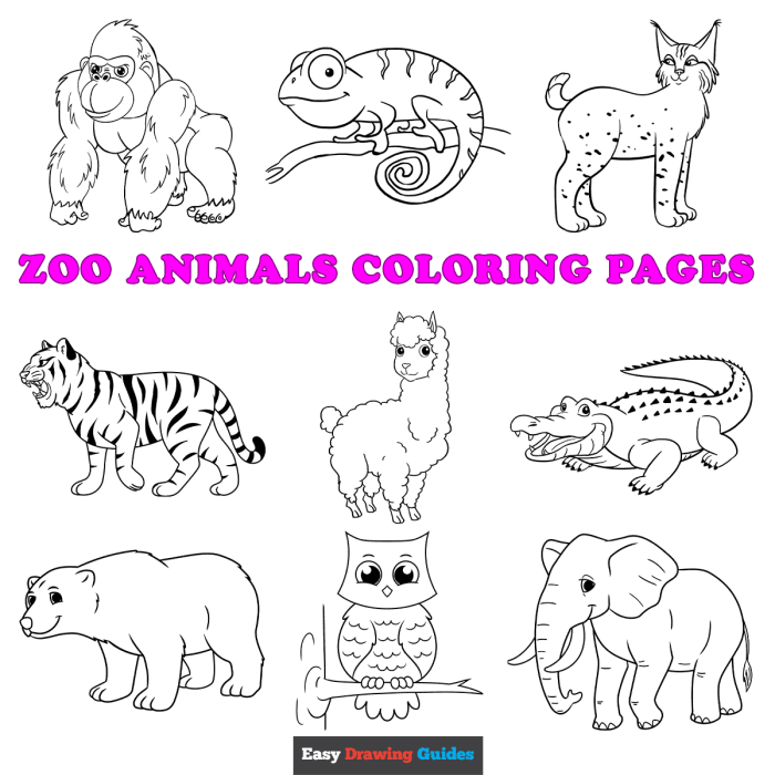 Zoo coloring pages animals cartoon animal color printables good printable getcolorings col getdrawings like