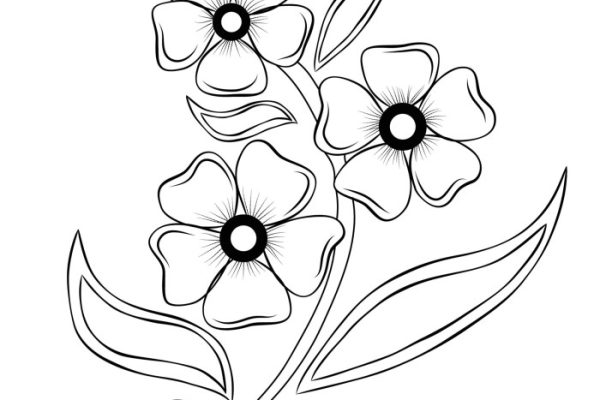 Flower line drawing white clip hibiscus clipart illustration drawings floral flowers chinese draw sketches sketch cliparts ideas clipartbest library designs