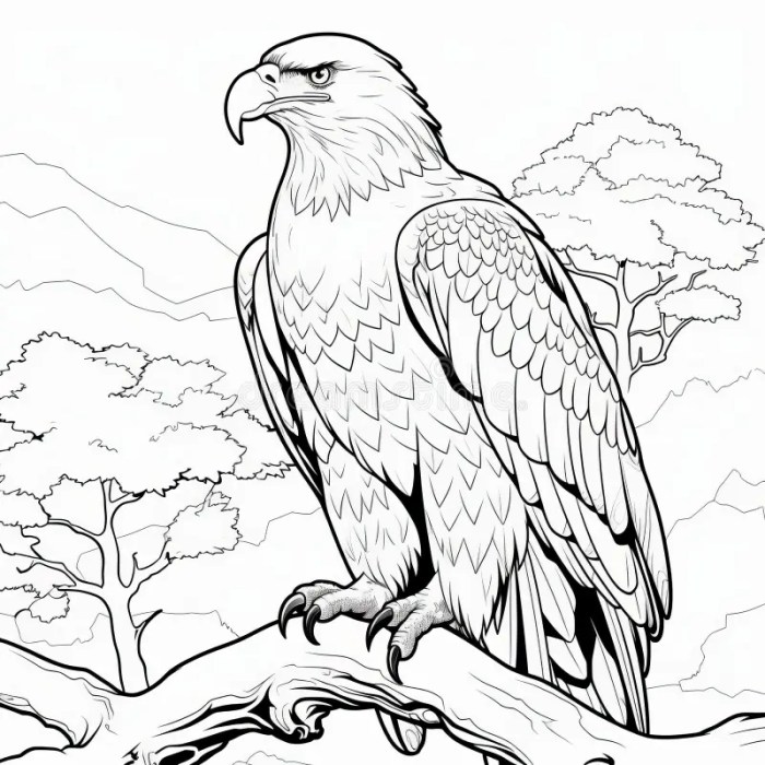 Animal coloring pages non cartoon