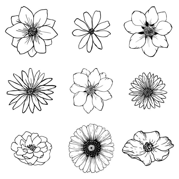 Animated flower outlines for coloring