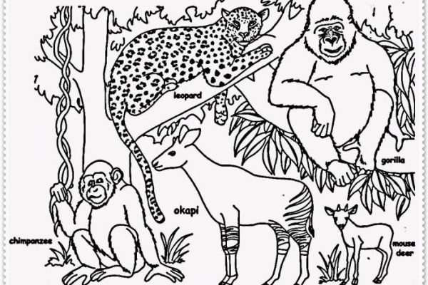 Free jungle animal coloring sheets