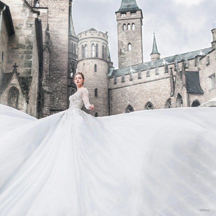 Belle disney dress wedding